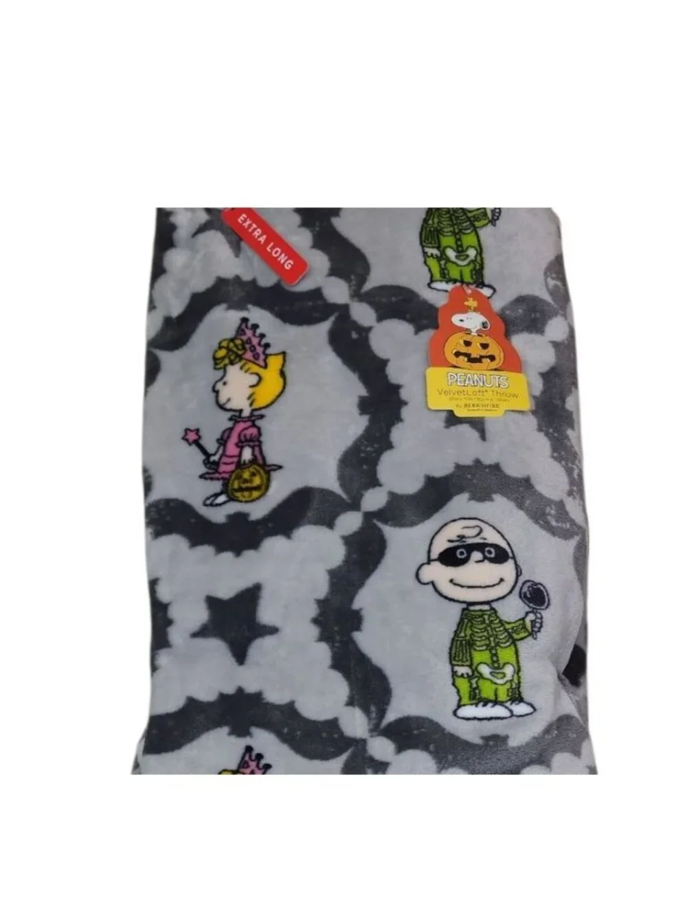 Peanuts VelvetLoft Throw Blanket 60